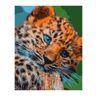 Картина по номерам "Леопардовый котёнок" Кпн-207 - Буду Играть. Сеть магазинов игрушек.